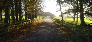 Richmond Park Stud